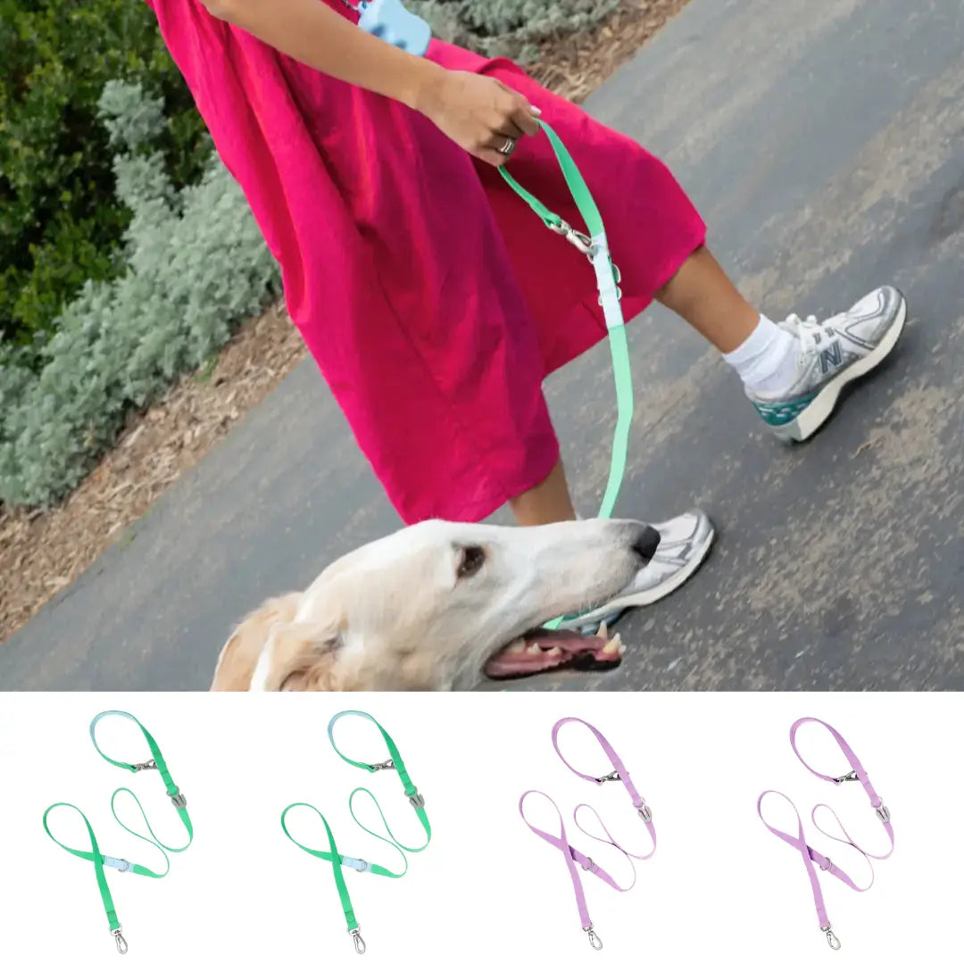 PREORDER - Waterproof City Dog Leash, Short Dog Leash (4 Pack)