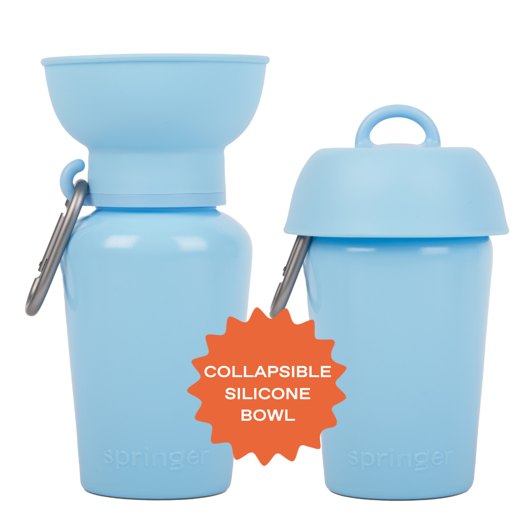 20oz Flip Dog Travel Water Bottle Mixed Case - 6 Colors (Case of 12)
