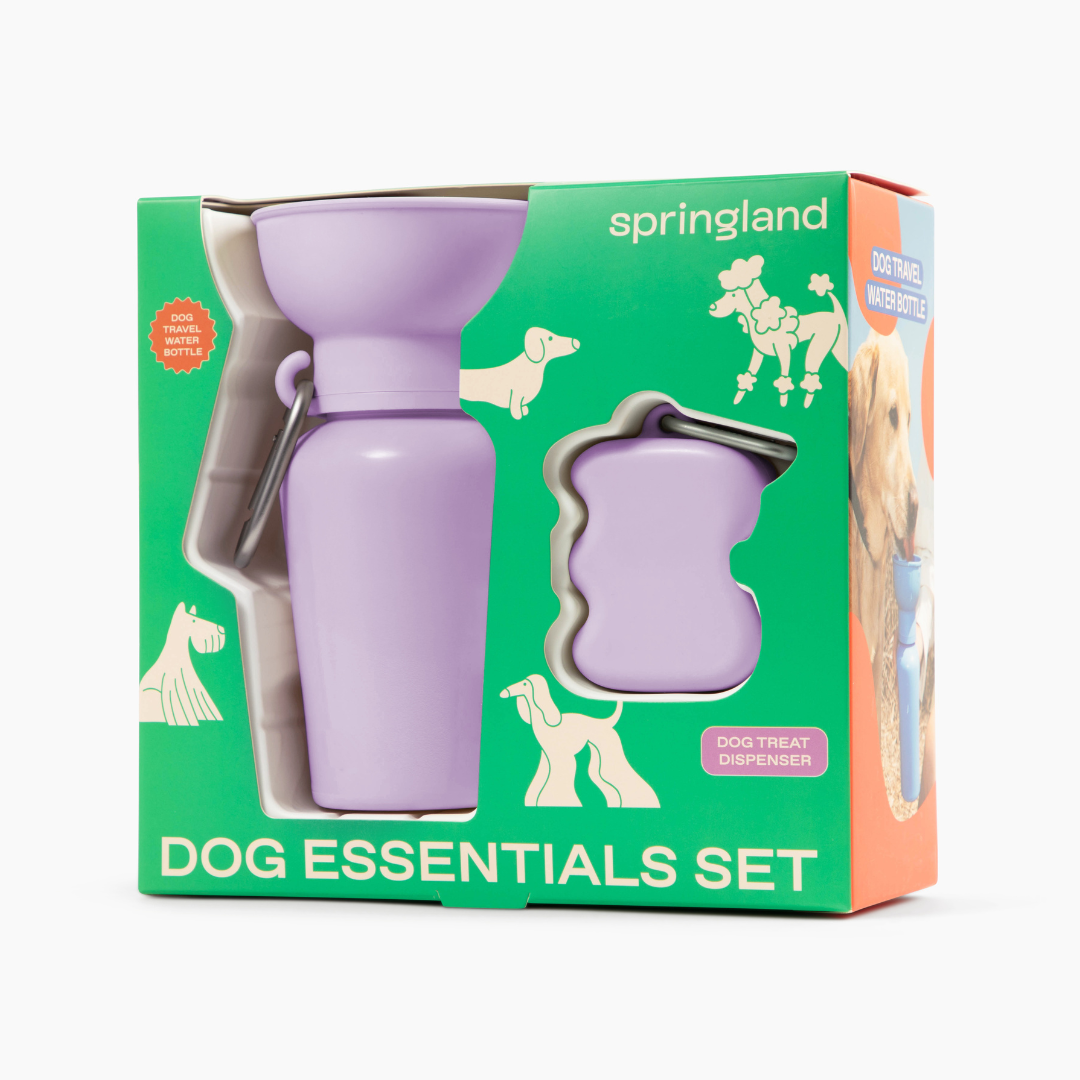 Dog Essentials Gift Box Set, Gift For Dogs (12 Pack)