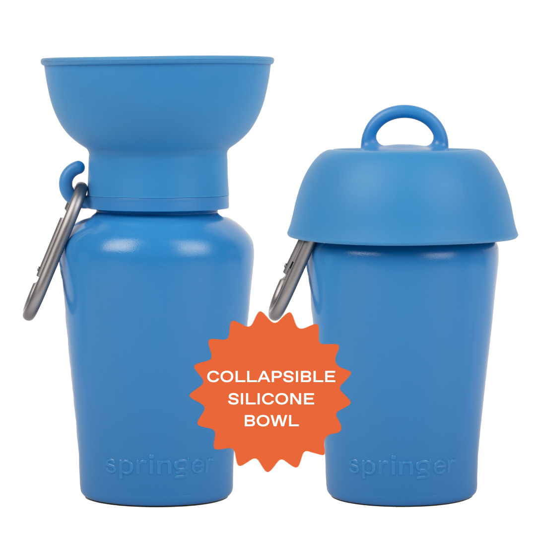 20oz Flip Dog Travel Water Bottle Mixed Case - 6 Colors (Case of 12)