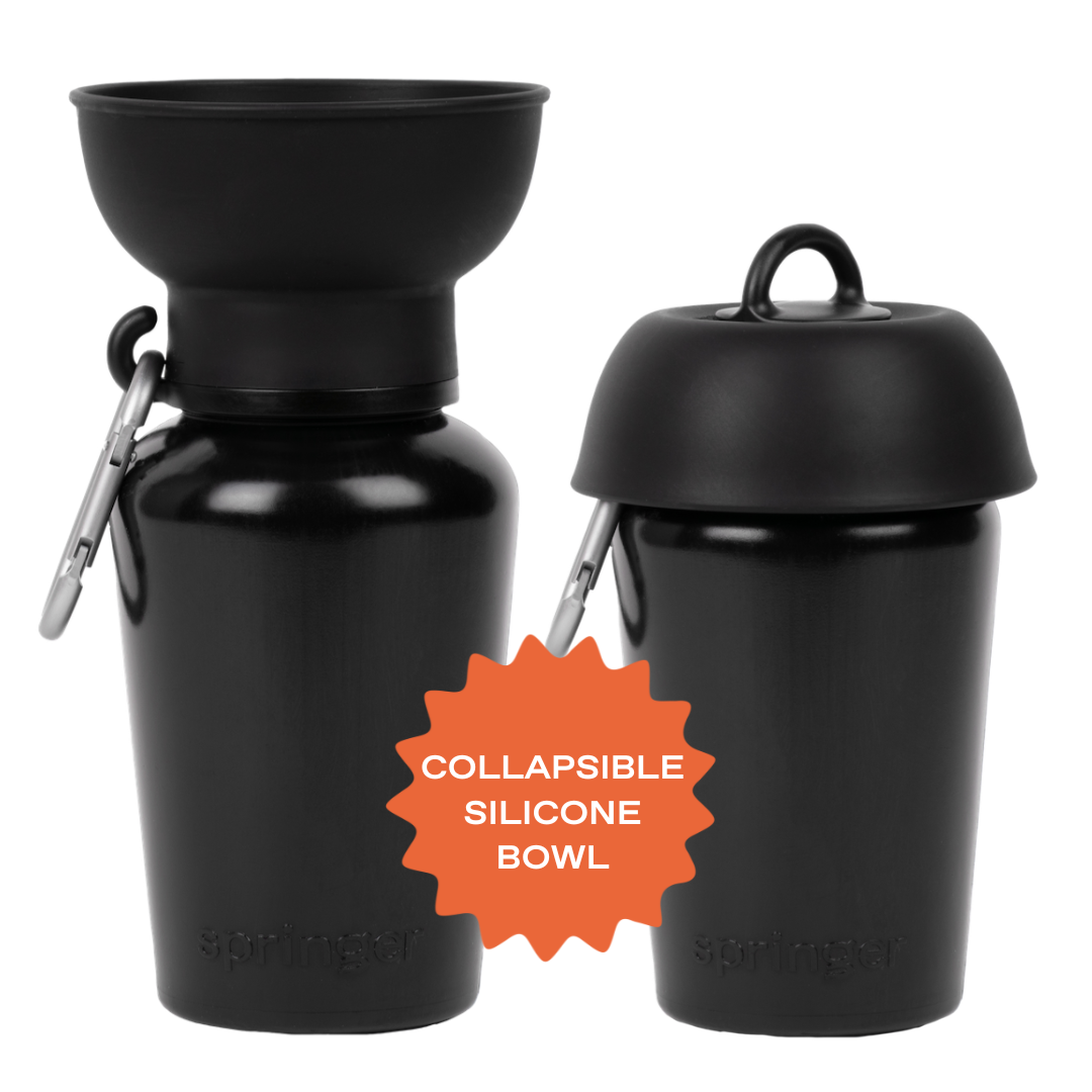 20oz Flip Dog Travel Water Bottle Mixed Case - 6 Colors (Case of 12)