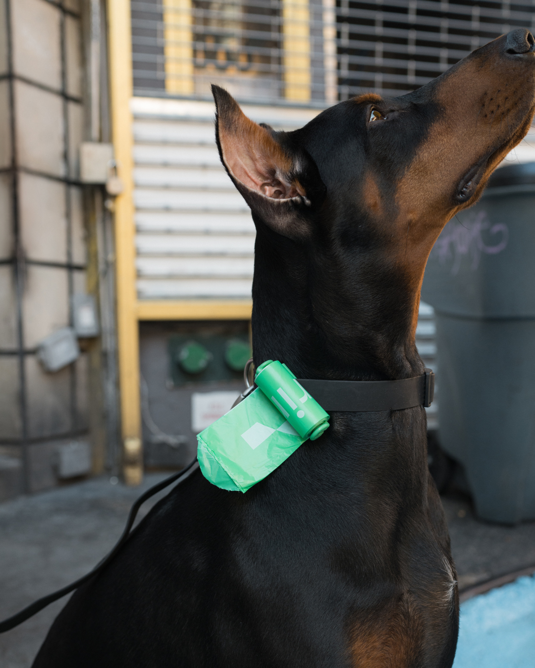 Dog Poop Bag Dispenser + 15 Poop Bags | 1 Roll (Case of 12)