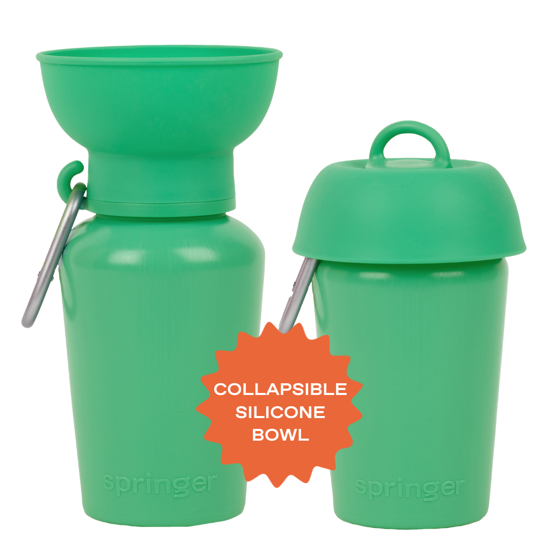 20oz Flip Dog Travel Water Bottle Mixed Case - 6 Colors (Case of 12)