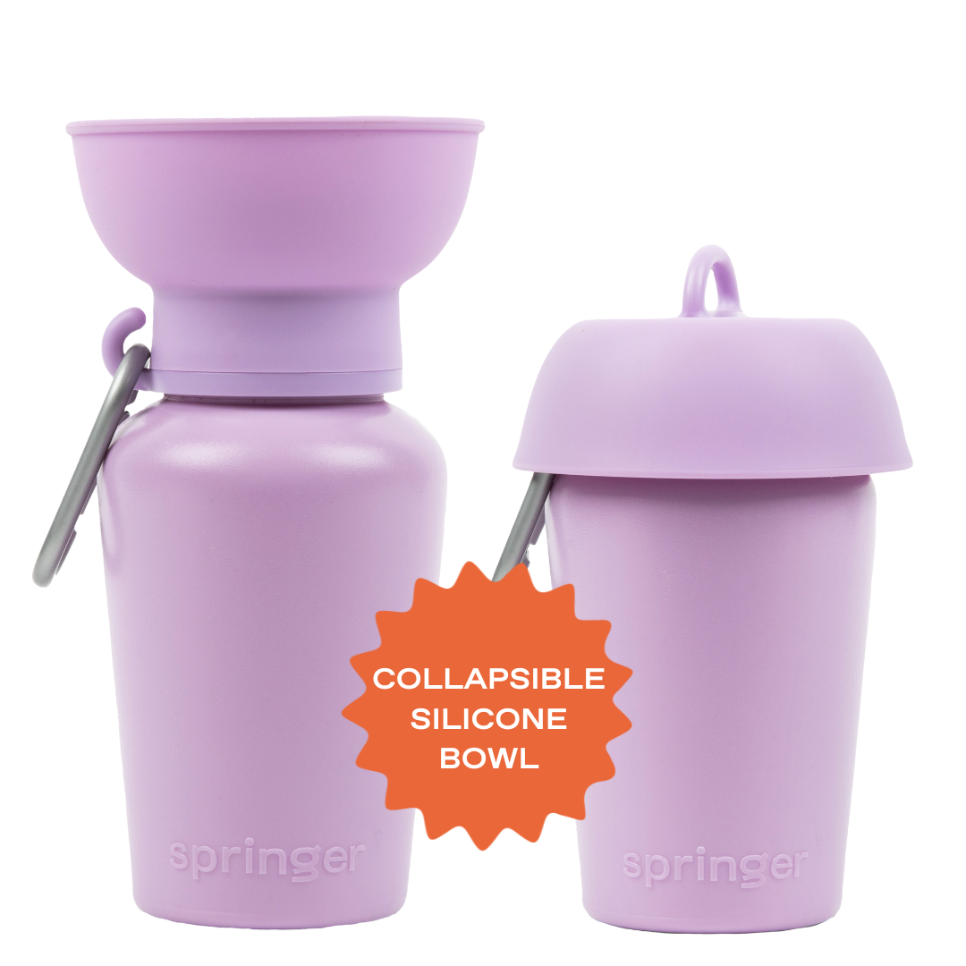 20oz Flip Dog Travel Water Bottle Mixed Case - 6 Colors (Case of 12)