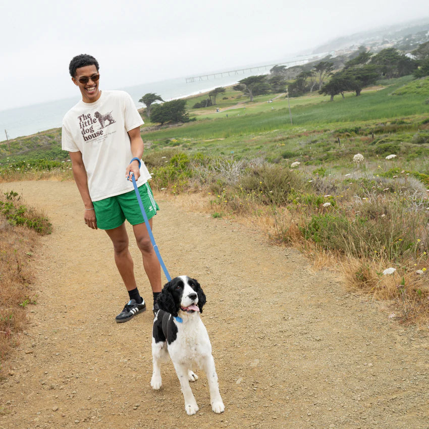 Premium Waterproof 5ft Dog Leash (4 or 5 Pack)