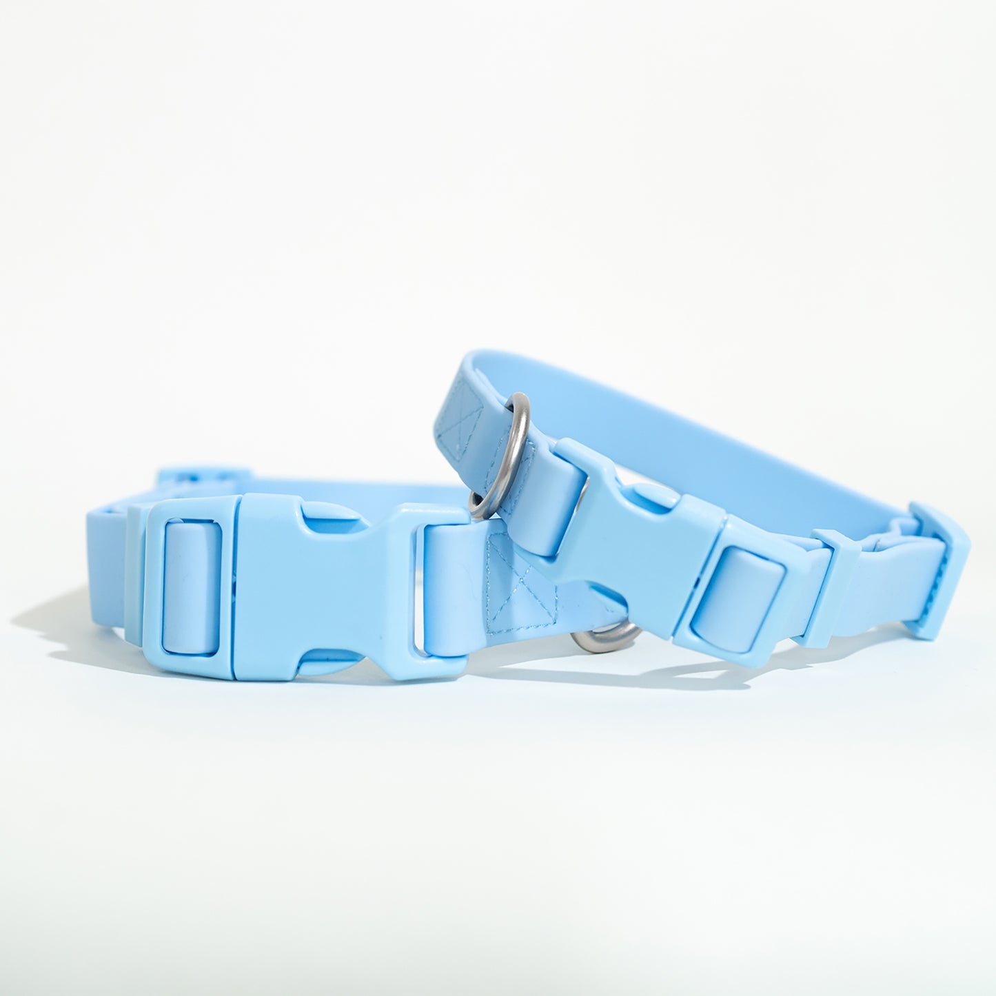 PRE-ORDER Dog Collars (Case of 6)