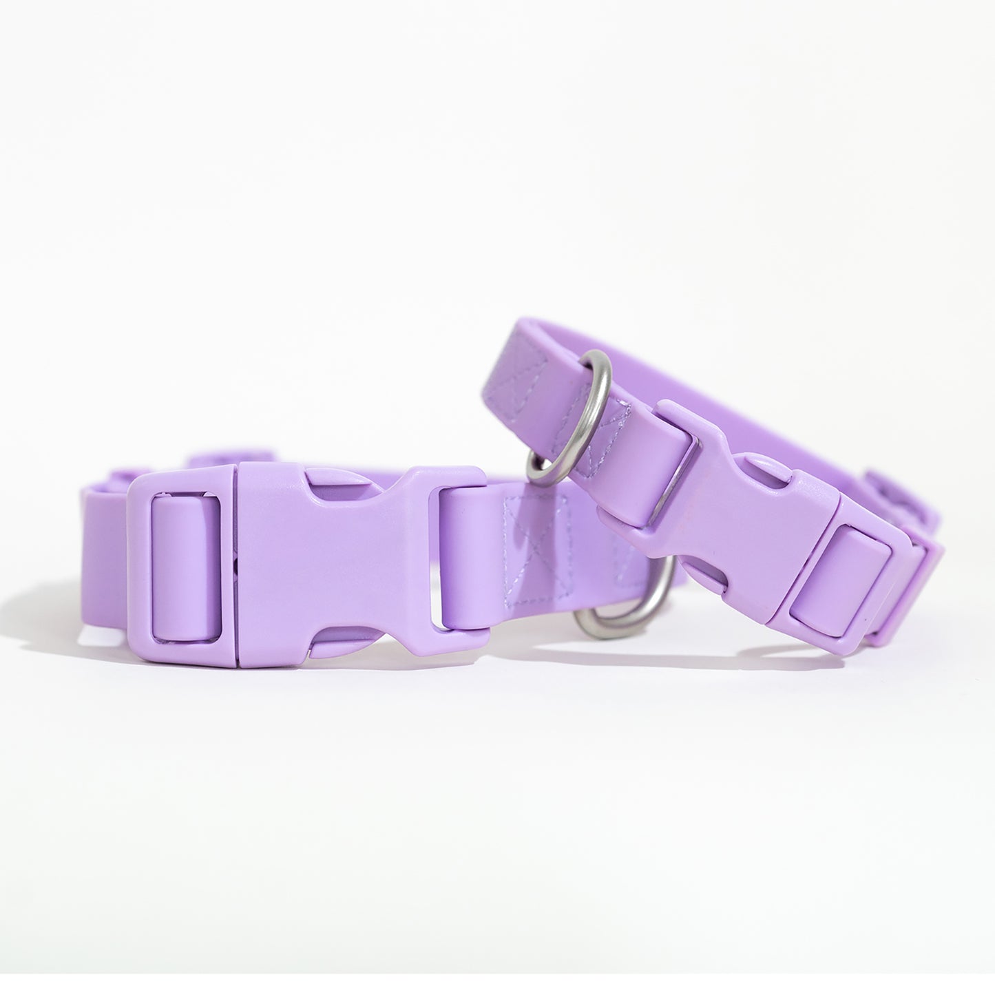 PRE-ORDER Dog Collars (Case of 6)