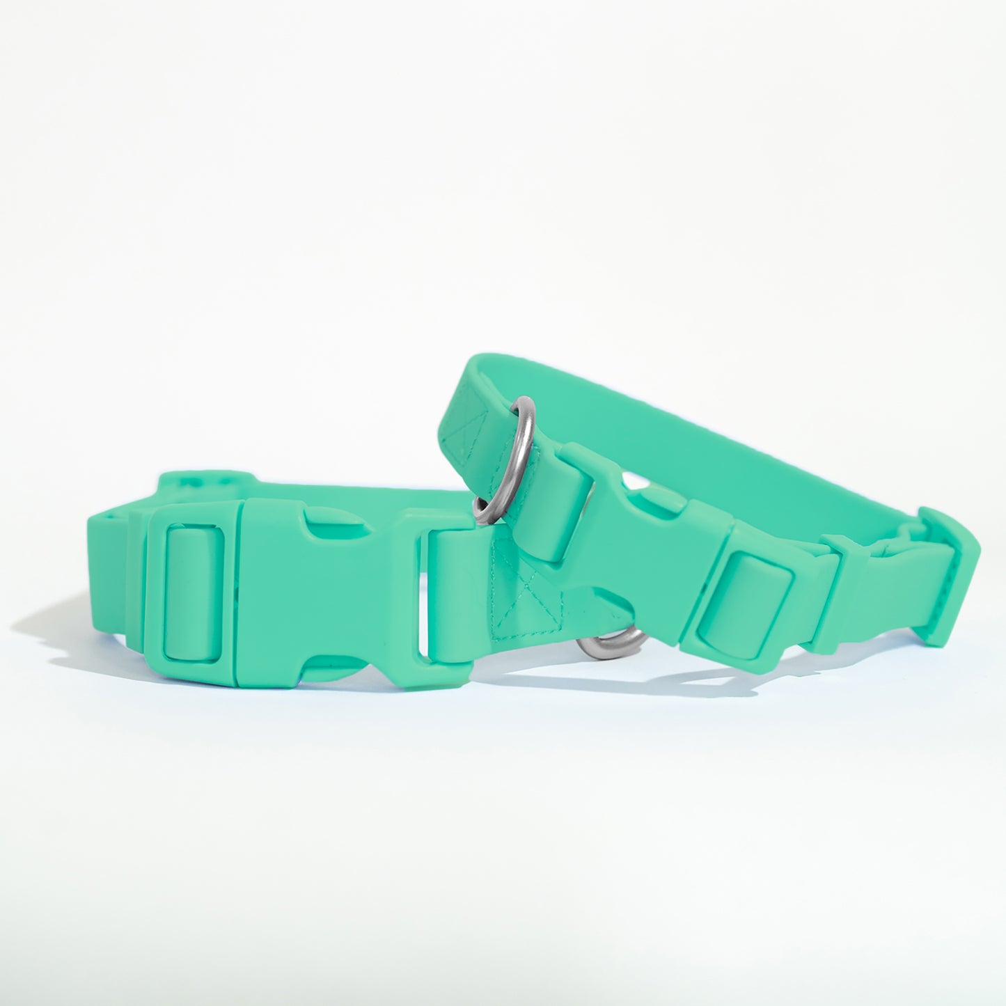 Dog Collar 2025: Medium (Single)