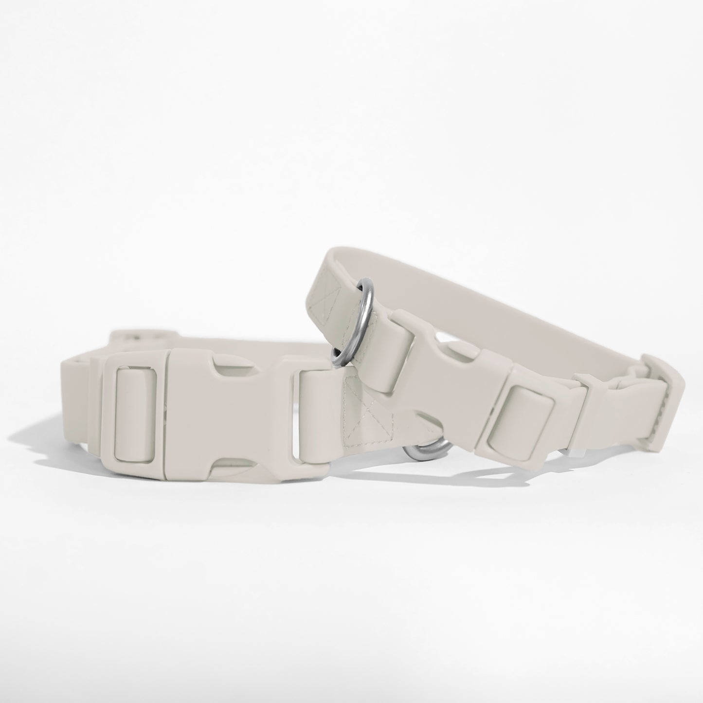 Dog Collar 2025: Medium (Single)