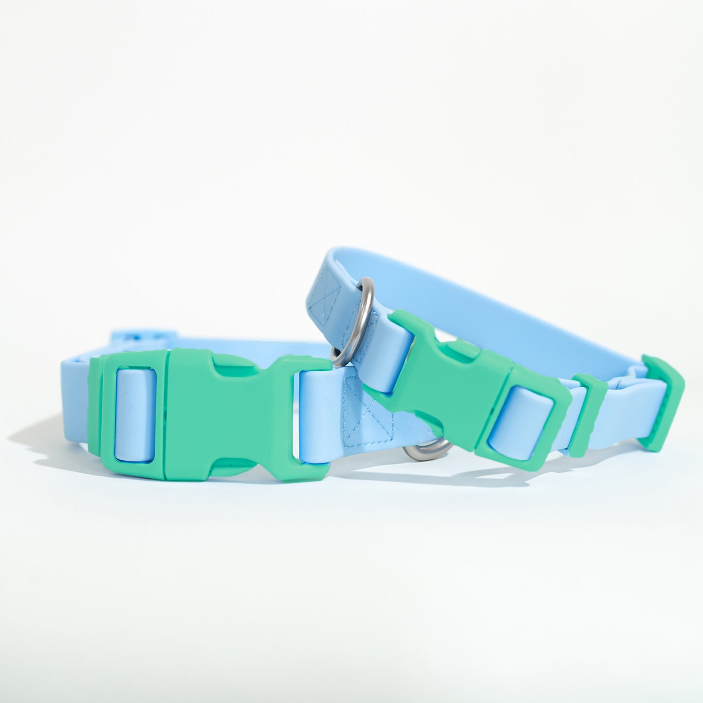 Dog Collar 2025: Medium (Single)
