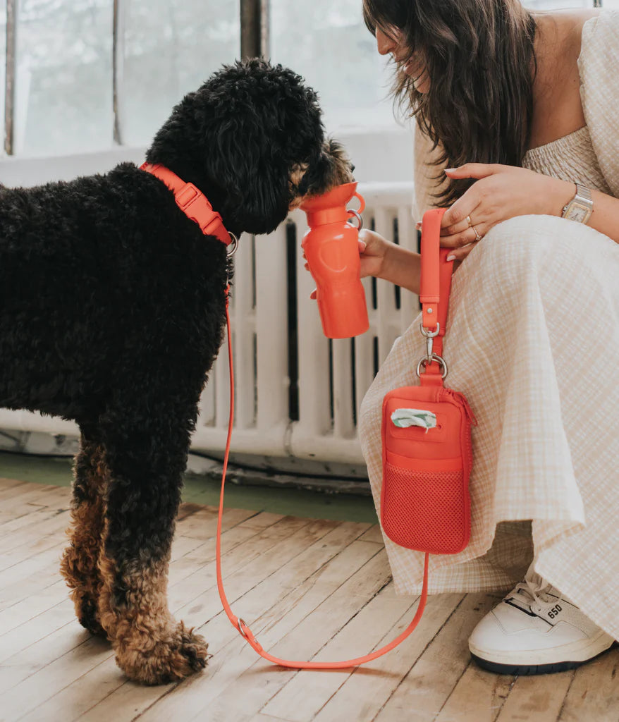 22oz Classic Dog Water Travel Bottle Mixed Case (Case of 12)
