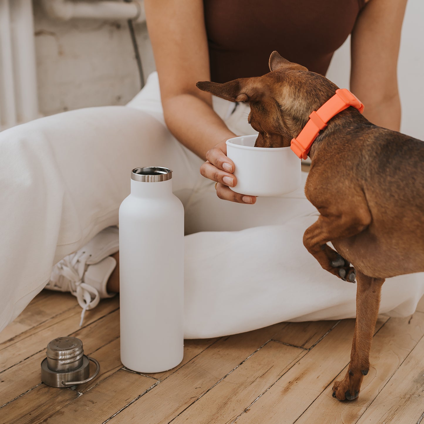 24oz Dog & Me Insulated Travel Bottle (Case of 6)