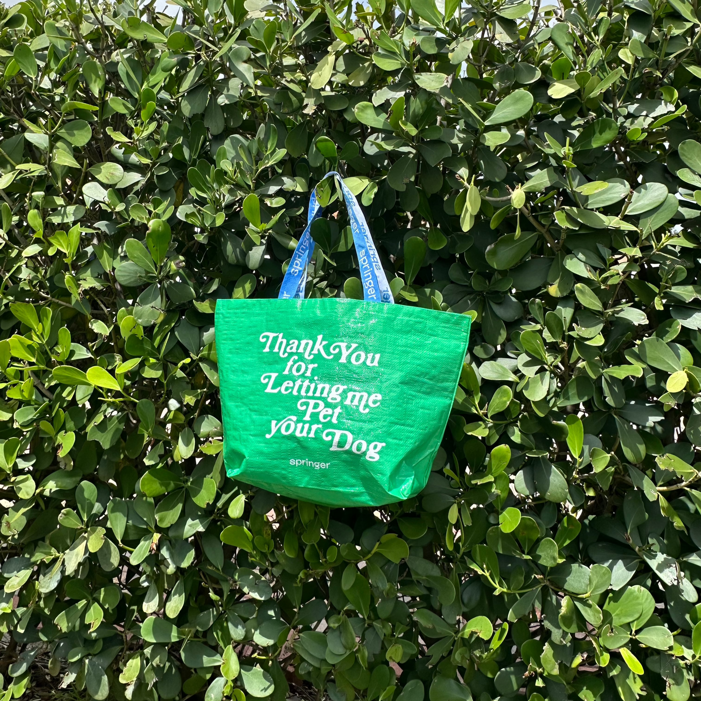 Thank You Large Tote For Dog People