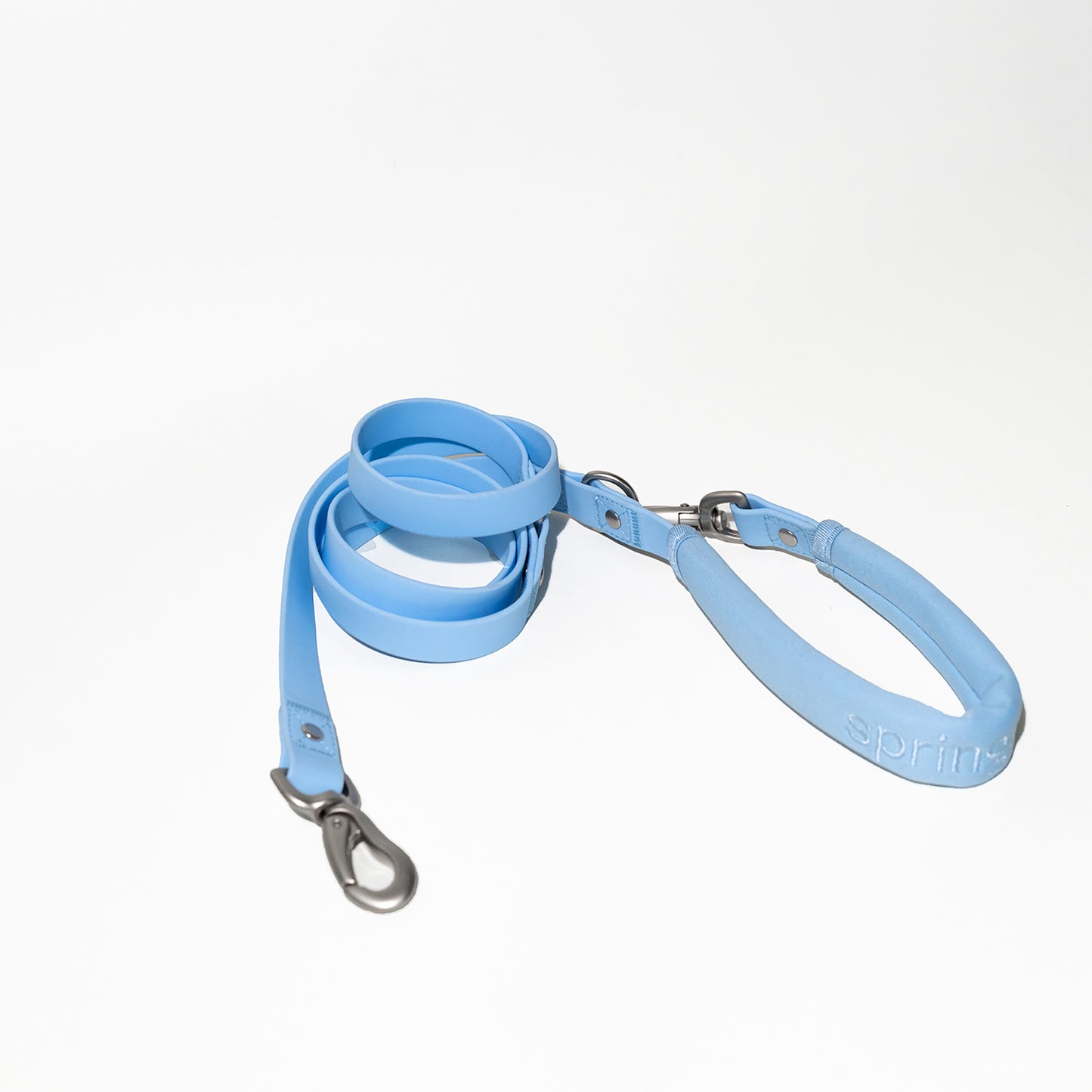 Dog Leash 2025: Regular (Single)