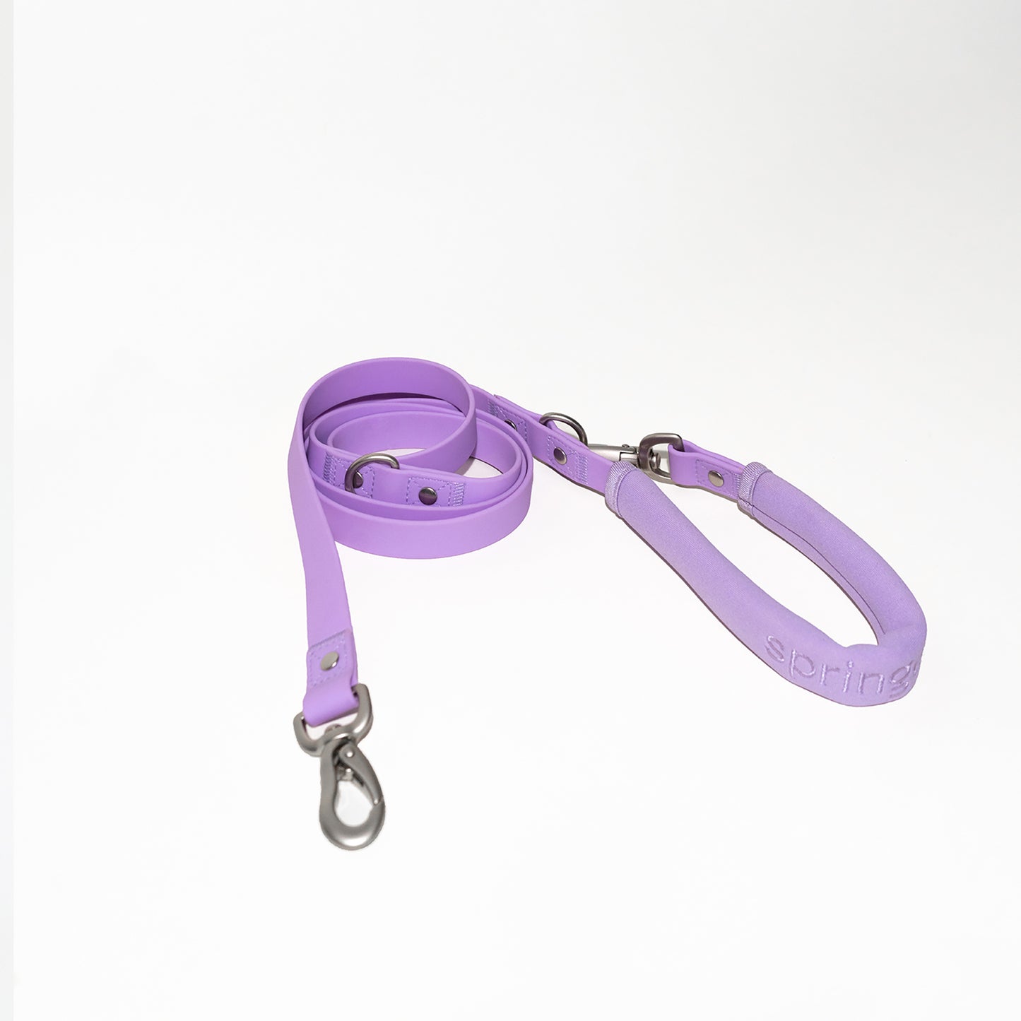 Dog Leash 2025: Regular (Single)