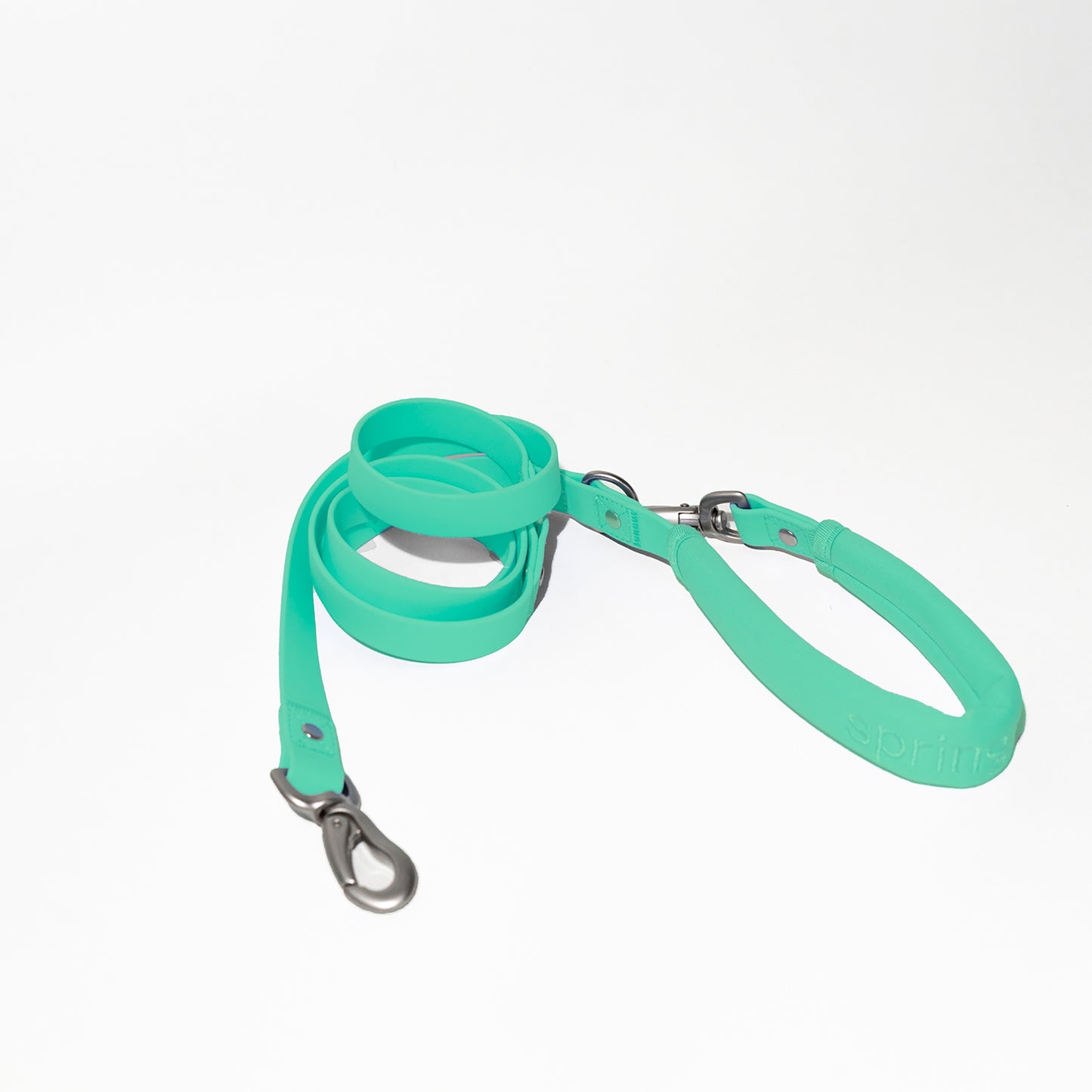 Dog Leash 2025: Regular (Single)