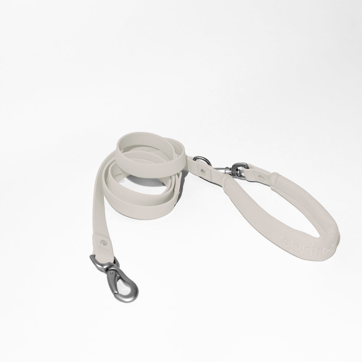 Dog Leash 2025: Regular (Single)