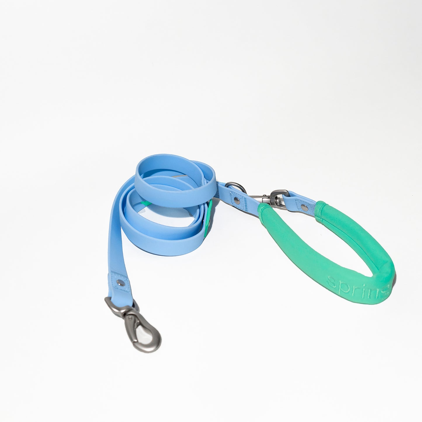 Dog Leash 2025: Regular (Single)