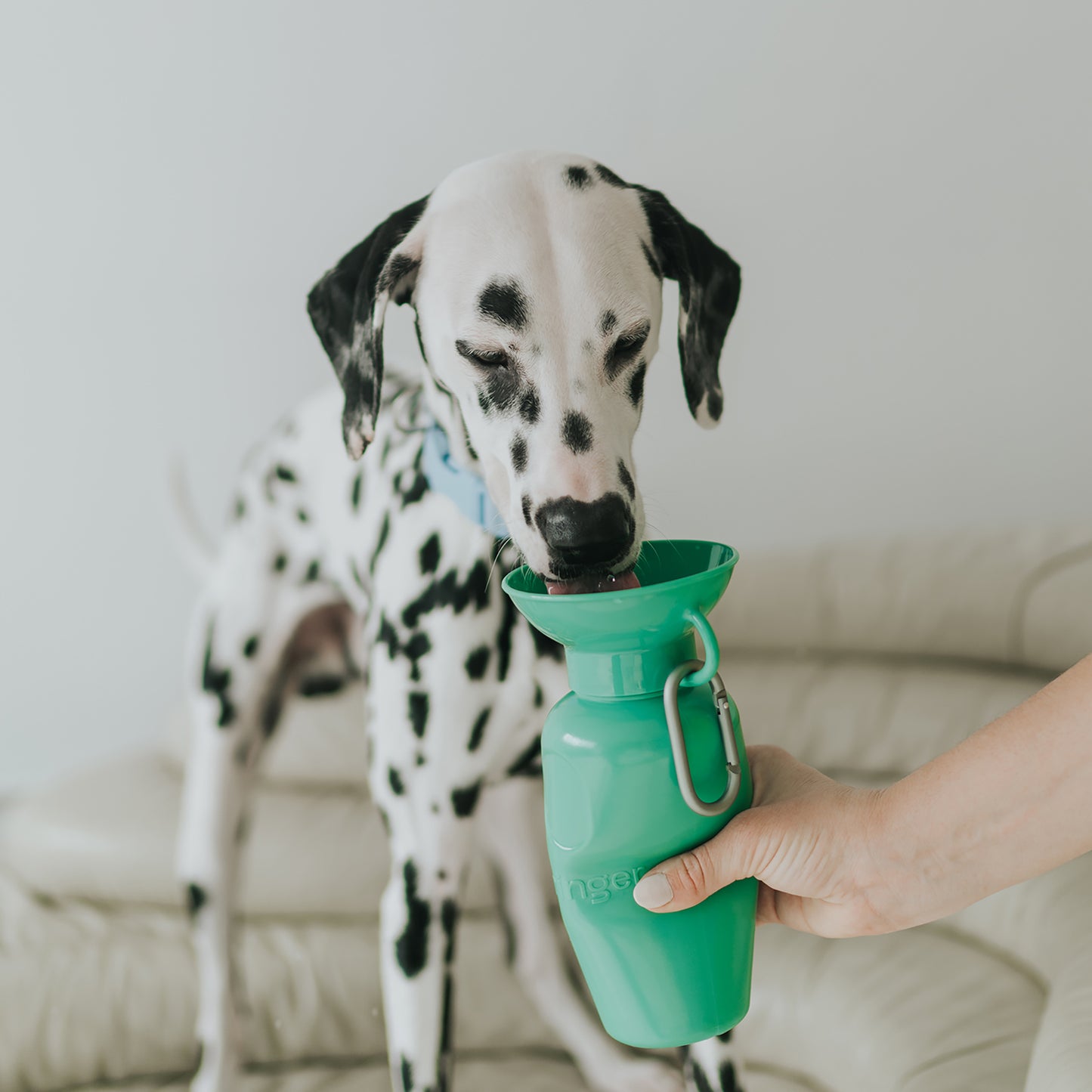 22oz Classic Dog Water Travel Bottle (Case of 12)