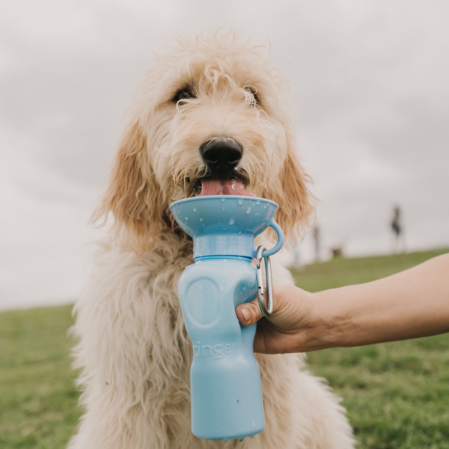22oz Classic Dog Water Travel Bottle Mixed Case (Case of 12)
