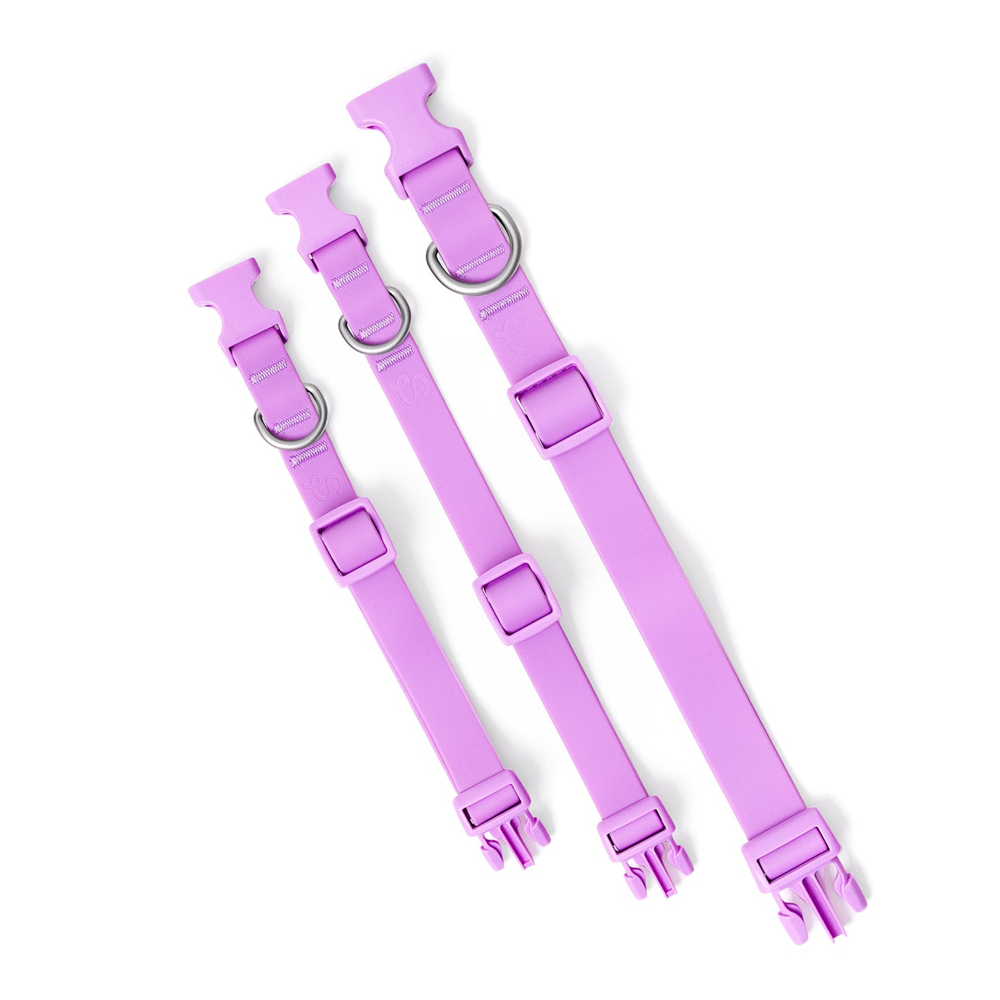 PRE-ORDER Dog Collars (Case of 6)