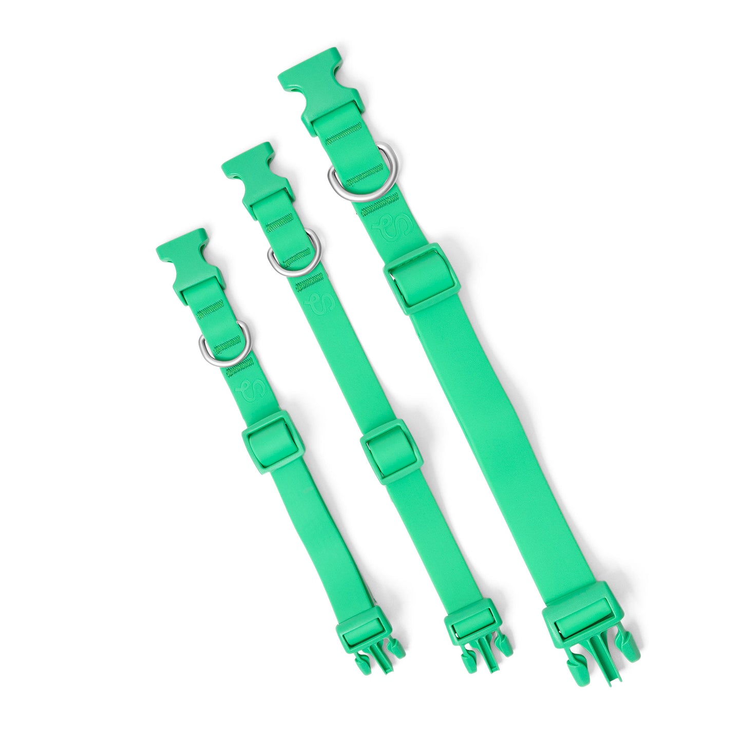 PRE-ORDER Dog Collars (Case of 6)