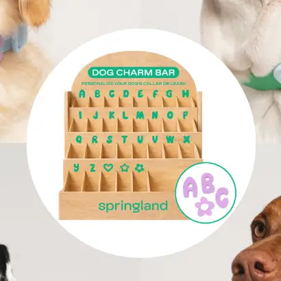 Silicone Dog Charms and Counter Retail Display