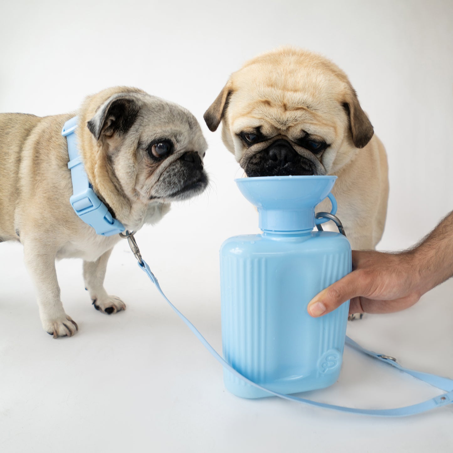 44oz Growler Dog Water Travel Bottle Mixed Case (Case of 12)