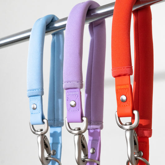 Dog Leash Mixed Case (Case of 3)