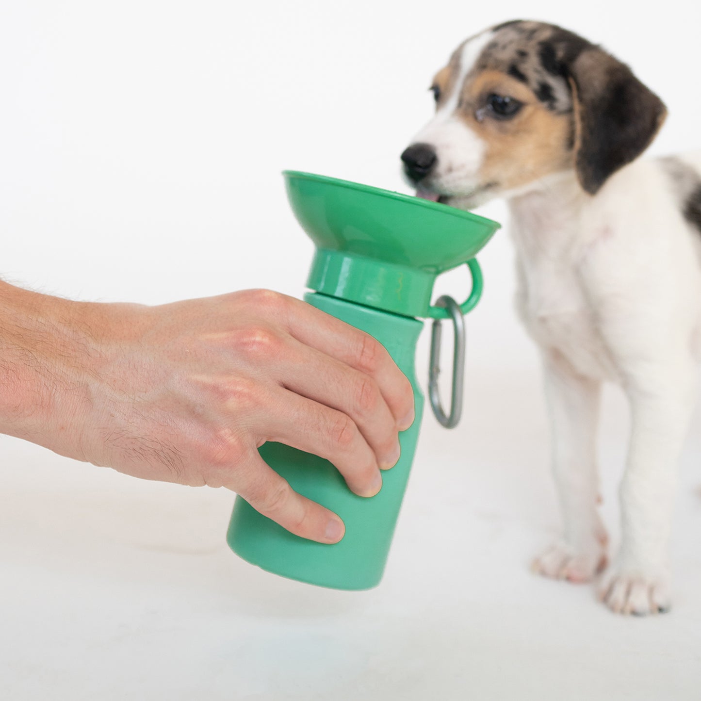 15oz Mini Dog Water Travel Bottle Mixed Case (Case of 12)