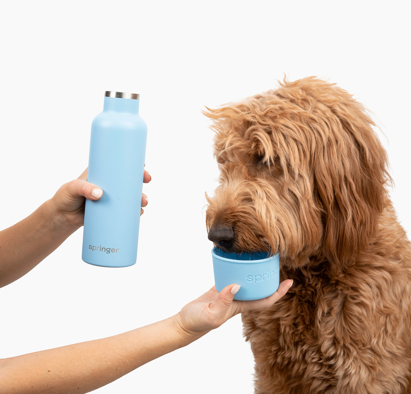 24oz Dog & Me Insulated Travel Bottle (Case of 6)