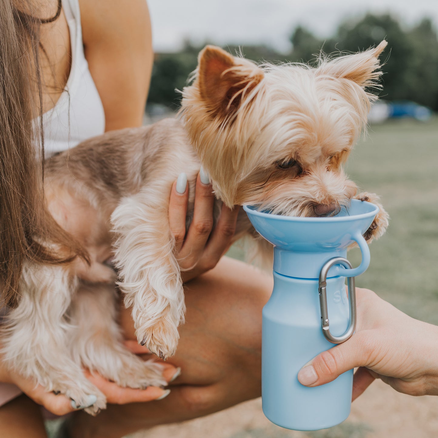 15oz Mini Dog Water Travel Bottle Mixed Case (Case of 12)