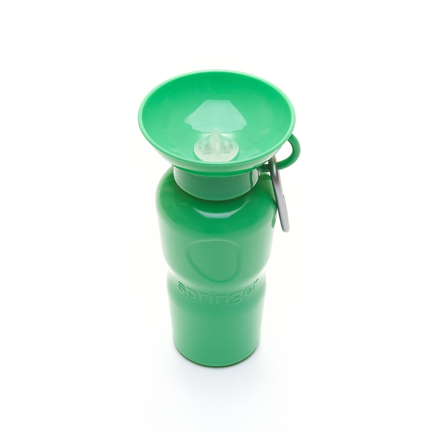 Classic Travel Bottle 12 Pack Springer Green