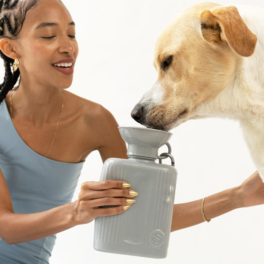 44oz Growler Dog Water Travel Bottle Mixed Case (Case of 12)