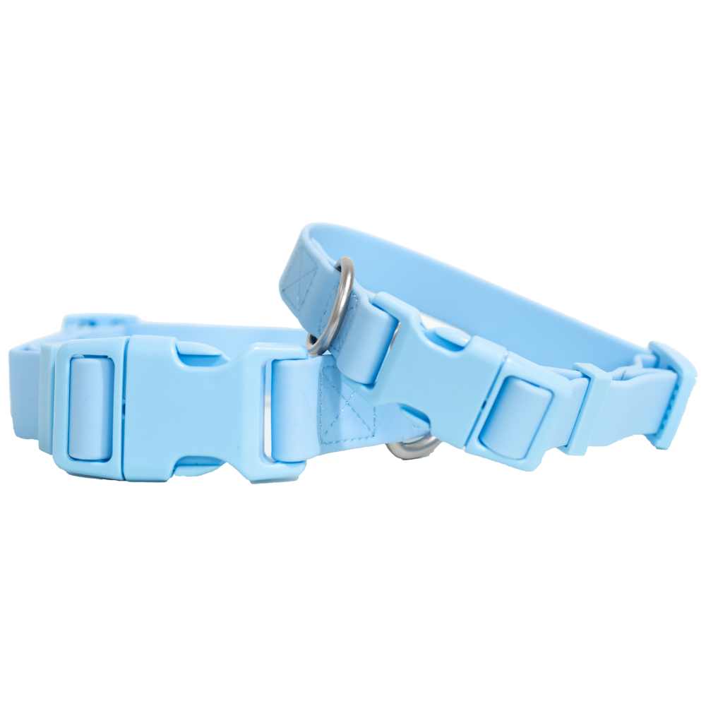 Dog Collar 2025: Small (Single)