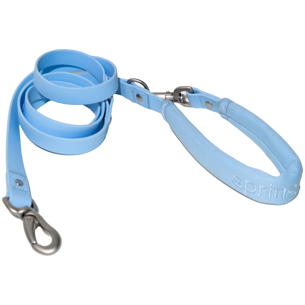 Dog Leash (Case of 4)