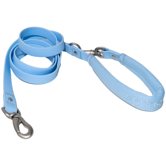 Dog Leash (Case of 4)