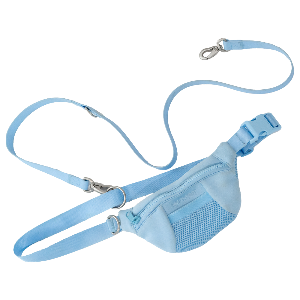Sling Bag + Dog Leash (Single)