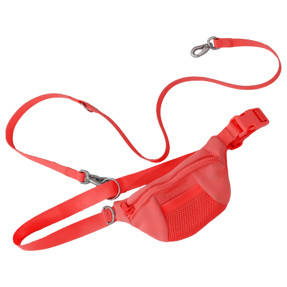 Sling Bag + Dog Leash (Single)