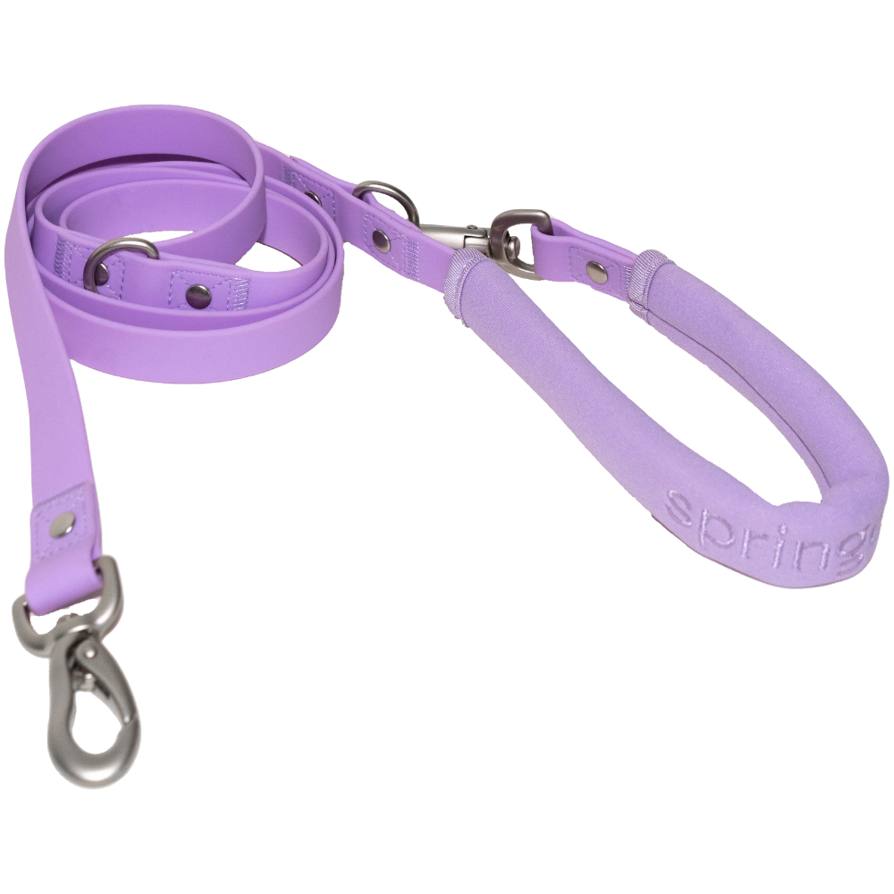 Dog Leash (Case of 4)