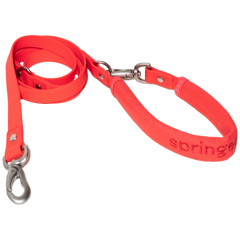 Dog Leash Mixed Case (Case of 3)