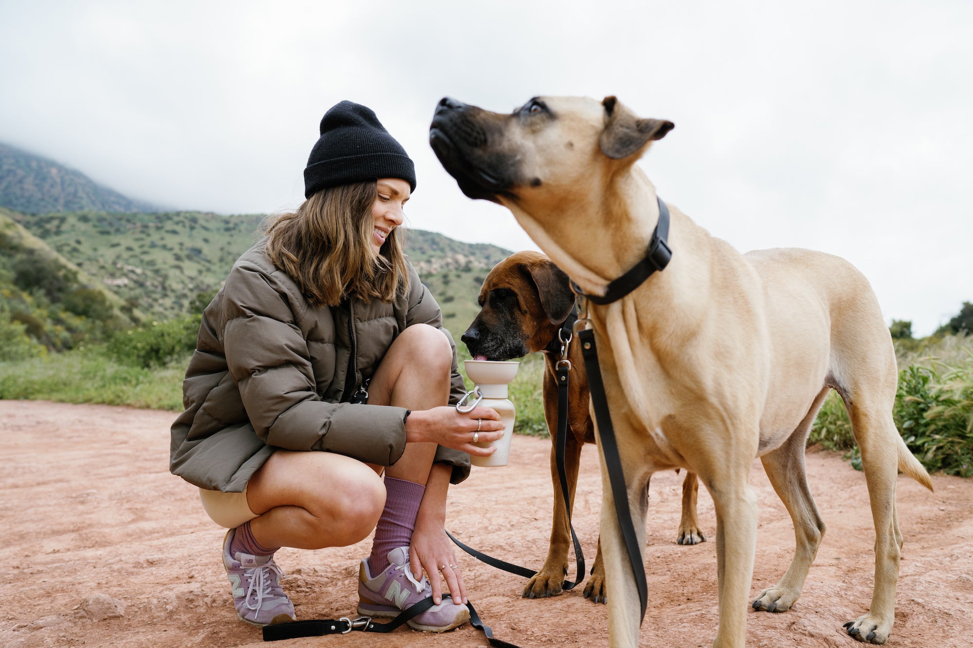 Shop Springland – Springland Pets Wholesale