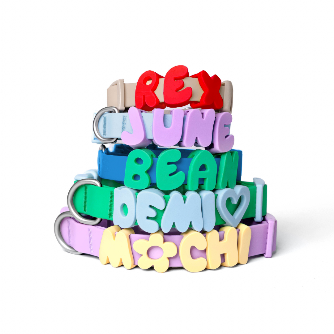 Dog Charm Personalization