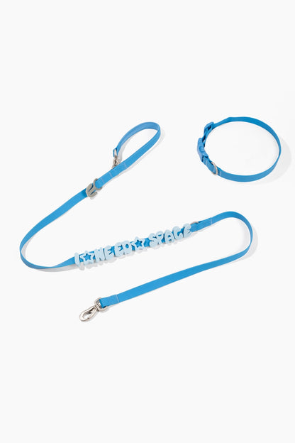 Silicone Dog Charms Complete Set, Custom Collars + Leashes