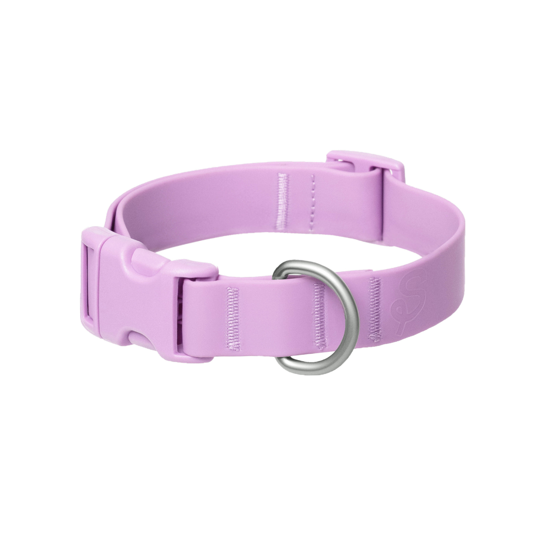 Waterproof Dog Collar (Pack of 4)