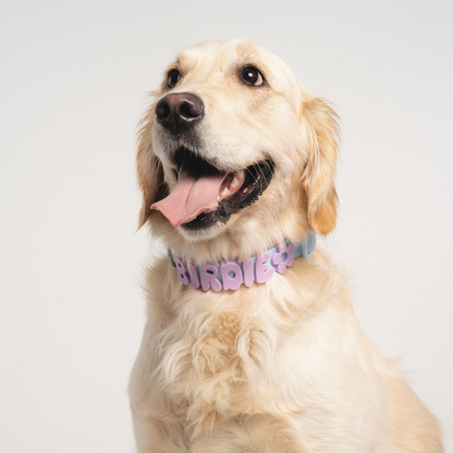 Silicone Dog Charms by Letter/Symbol/Strap Lilac (Pack of 5)