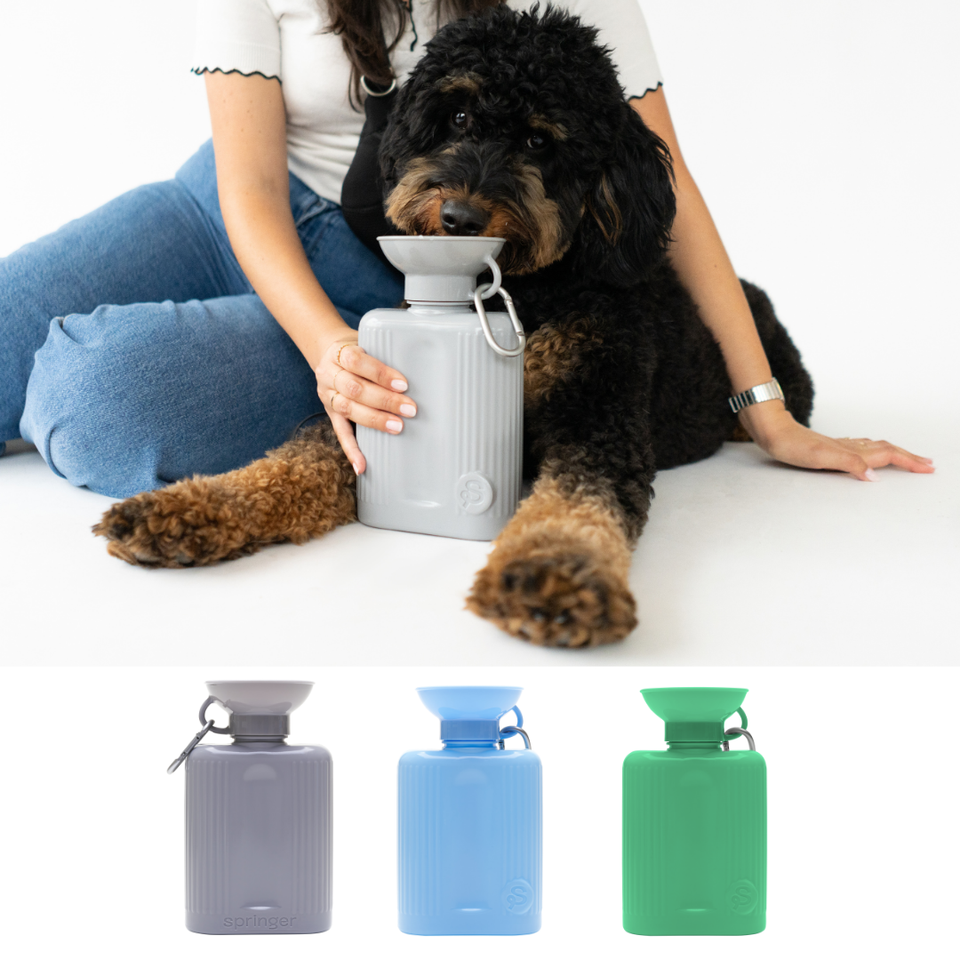 44oz Growler Dog Water Travel Bottle (Case of 12)