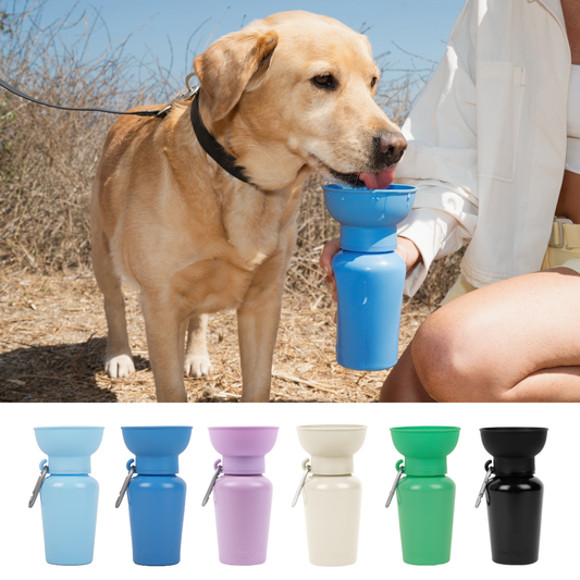 20oz Flip Dog Travel Bottle (Case of 12)