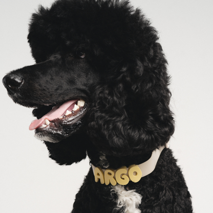 PREORDER - Silicone Dog Charms, Personalize Dog Collar/Leash (63 Pack Assorted)