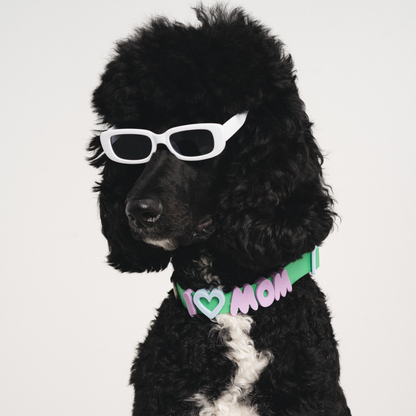 Silicone Dog Charms by Letter/Symbol/Strap Lilac (Pack of 5)